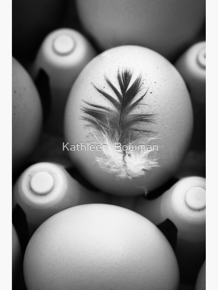 Feathered Egg in Black and White by KathleenBowman
