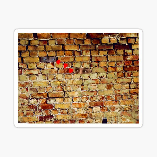 Not Another Brick In The Wall by Elisabeth and Barry King™ Sticker