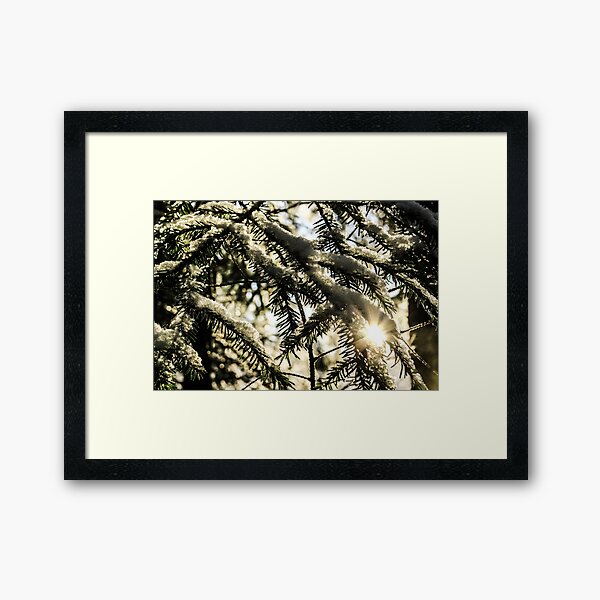 Early Morning Framed Art Print