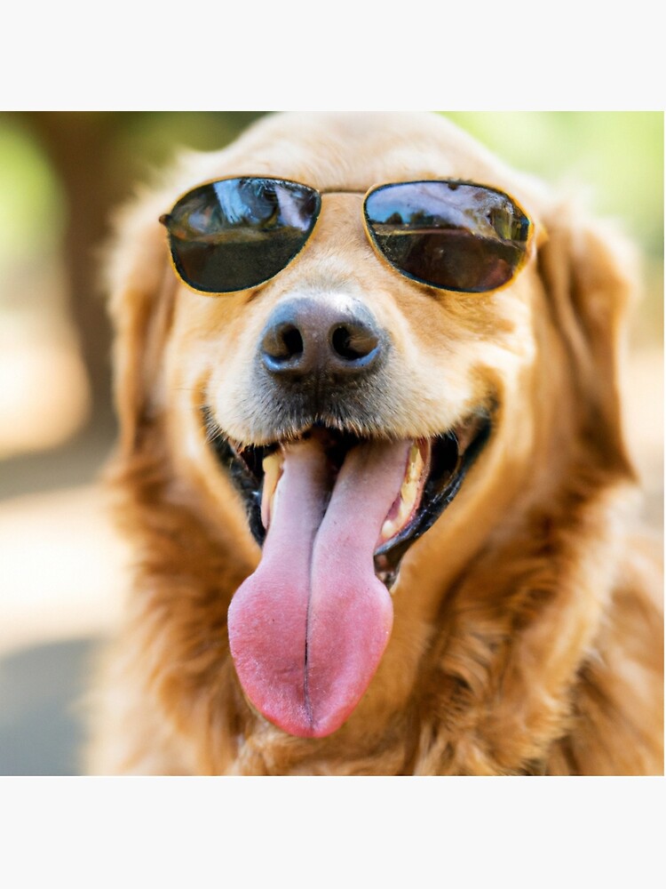 Shady Dogs Smiling Golden Retriever Yellow Sunglasses Photographic Print