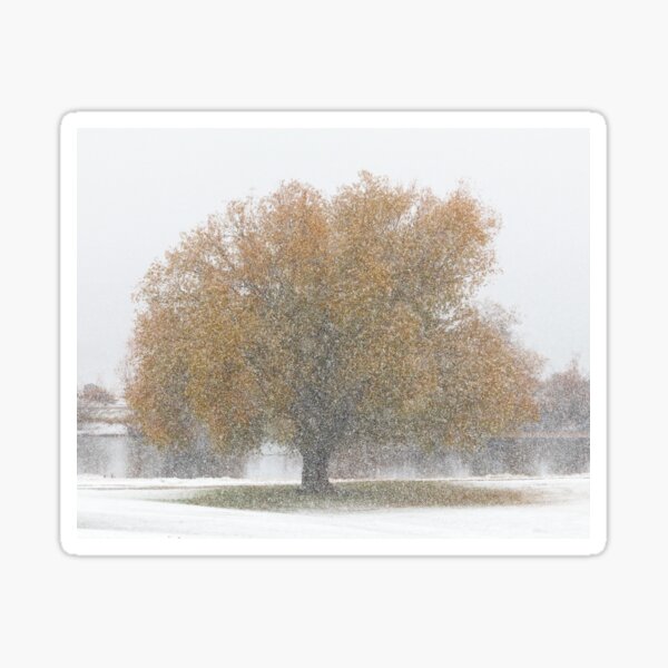 Tree of Change Sticker