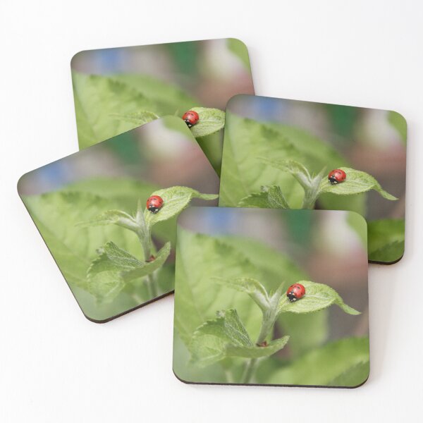 Item preview, A close-up of a red ladybug sitting on a green leaf designed and sold by Dankeshon.