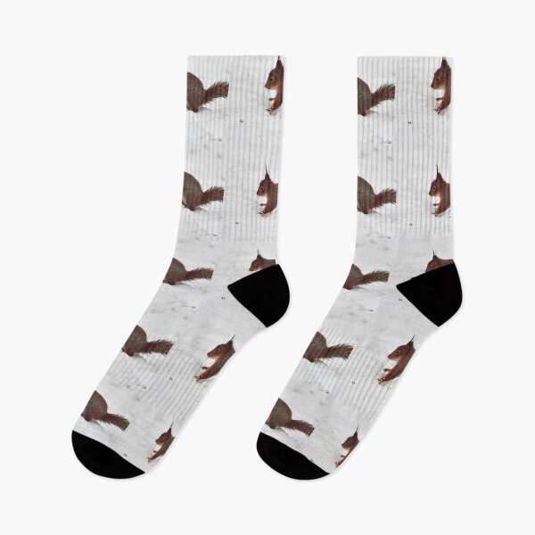 Item preview, Just a wet squirrel on white snow. Red squirrel designed and sold by Jouko Lehto Photography.