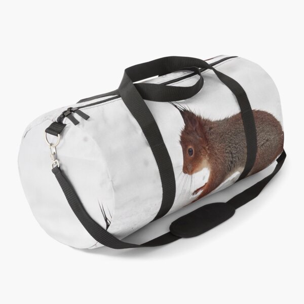 Item preview, Just a wet squirrel on white snow. Red squirrel designed and sold by Jouko Lehto Photography.