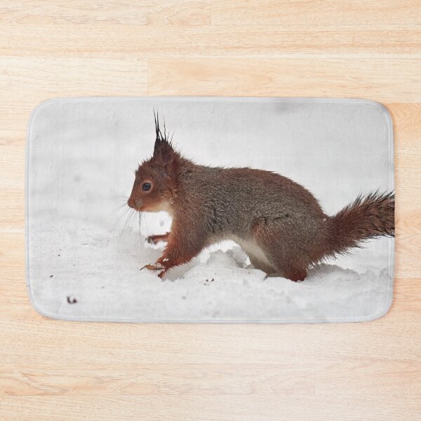 Item preview, Just a wet squirrel on white snow. Red squirrel designed and sold by Jouko Lehto Photography.