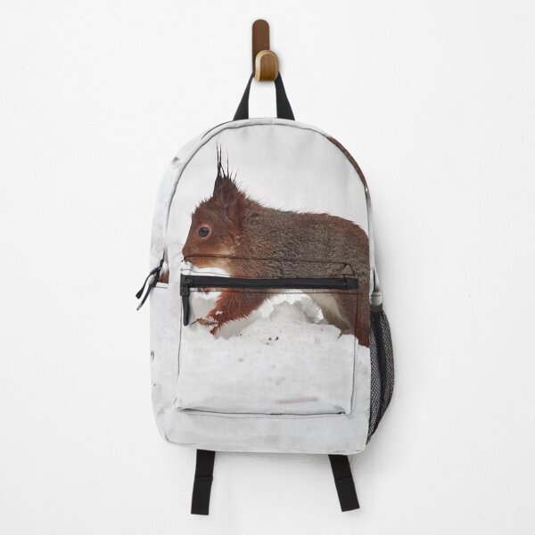 Item preview, Just a wet squirrel on white snow. Red squirrel designed and sold by Jouko Lehto Photography.