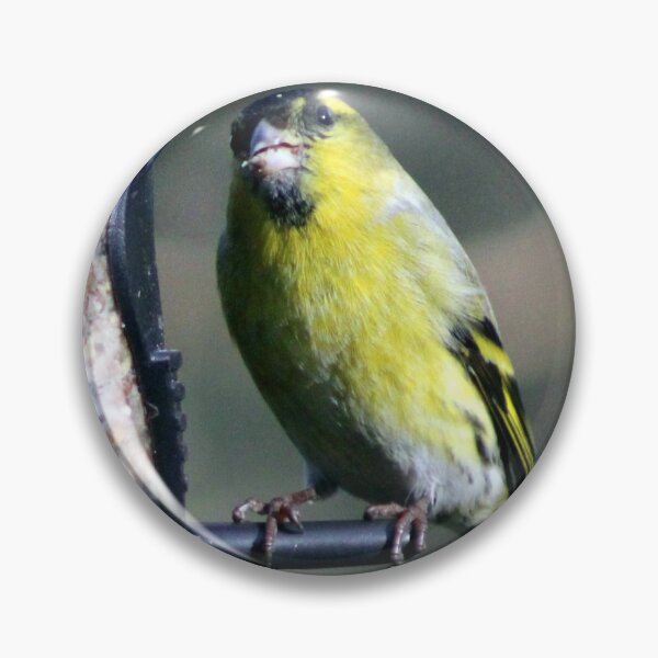 Item preview, siskin designed and sold by KathleenDawson.