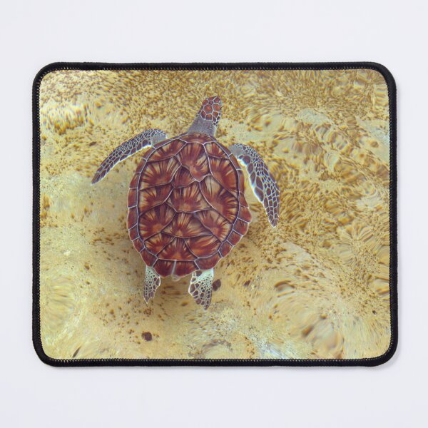 Item preview, baby seaturtle  designed and sold by Sandy Maya's Artwork.