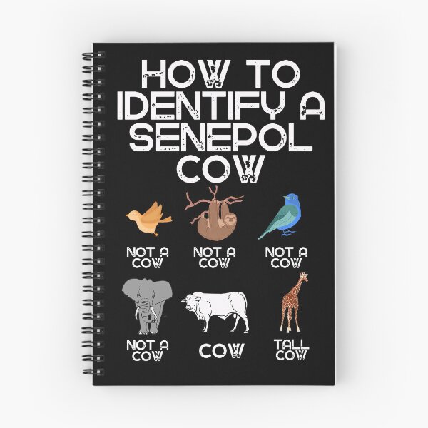 Item preview, Black version of How to identify a Senepol Cow designed and sold by FarmsteadAcers.
