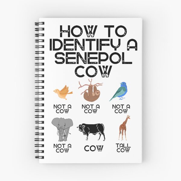 Item preview, How to identify a Senepol Cow designed and sold by FarmsteadAcers.