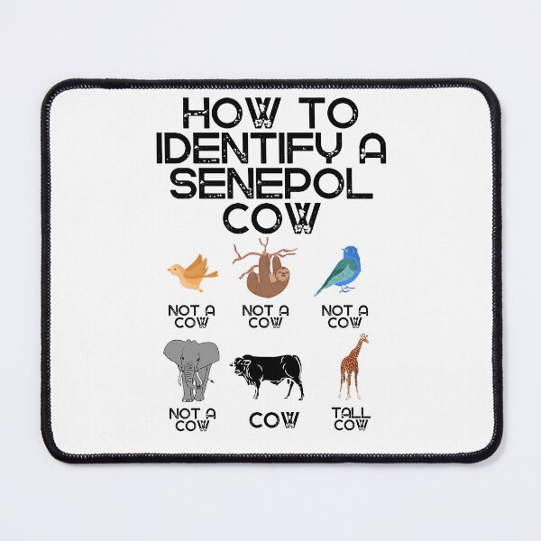 Item preview, How to identify a Senepol Cow designed and sold by FarmsteadAcers.