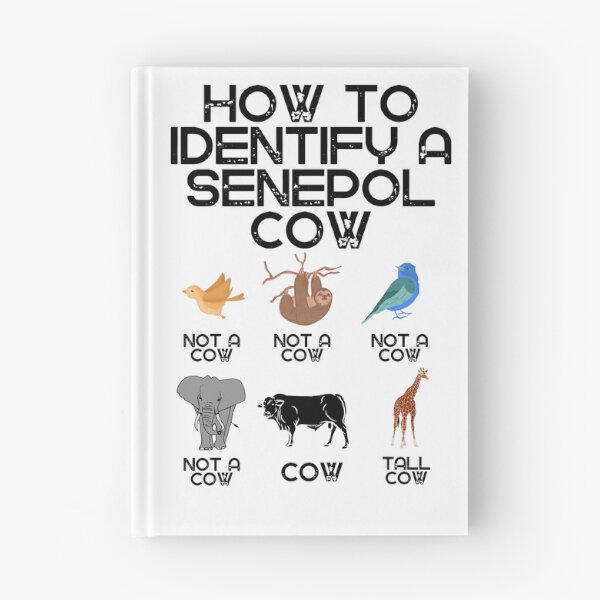 Item preview, How to identify a Senepol Cow designed and sold by FarmsteadAcers.