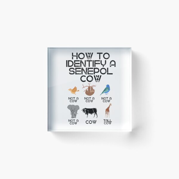 Item preview, How to identify a Senepol Cow designed and sold by FarmsteadAcers.