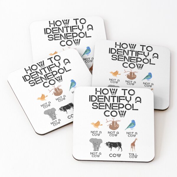 Item preview, How to identify a Senepol Cow designed and sold by FarmsteadAcers.