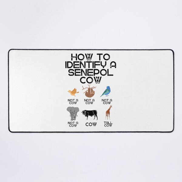Item preview, How to identify a Senepol Cow designed and sold by FarmsteadAcers.