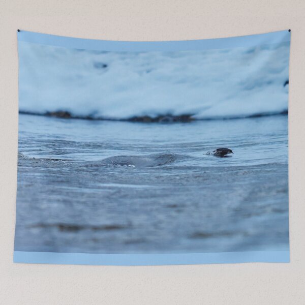 Item preview, Blue dive. White-throated dipper designed and sold by Jouko Lehto Photography.