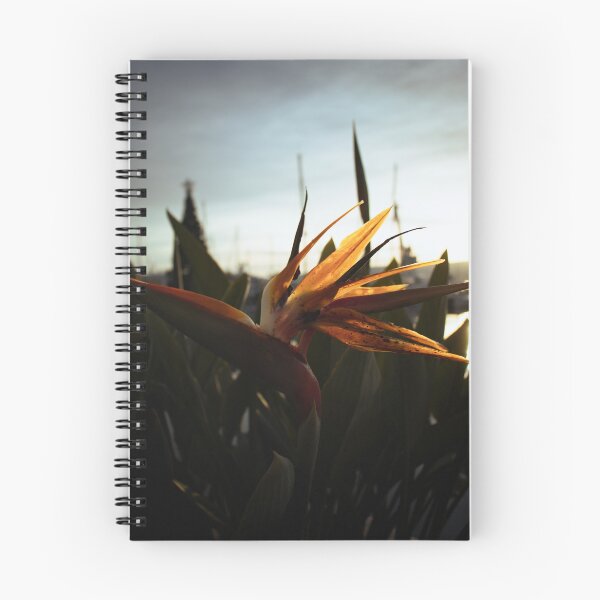 Item preview, Bird of paradise flower. designed and sold by F1lterDesign.