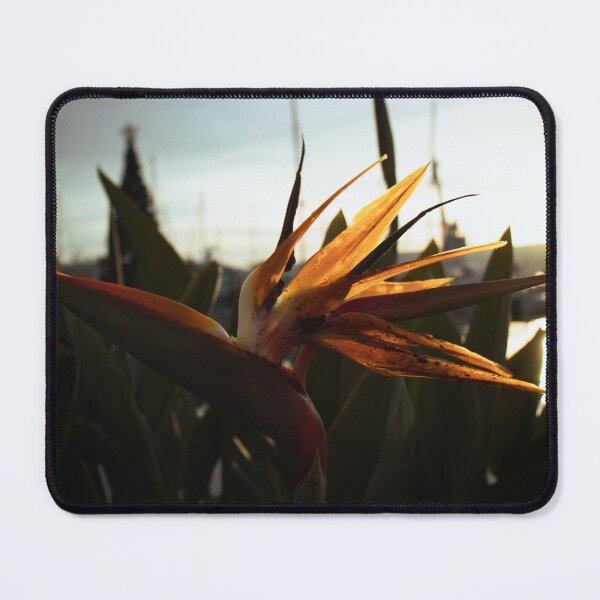Item preview, Bird of paradise flower. designed and sold by F1lterDesign.