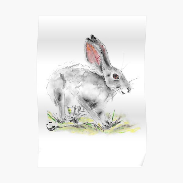 Hase - Charcoal Animals Poster