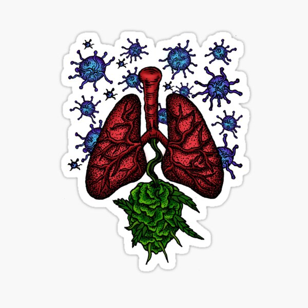 Item preview, LUNGS ANTI BACTERIA - CANNABIS FOR TUBERCULOSIS TBC designed and sold by MinoryaArt.