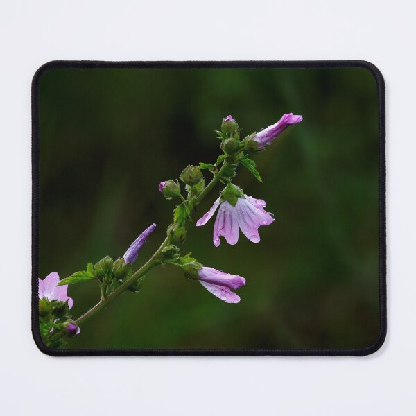 Item preview, Delicate petals designed and sold by ABeeCr8ive.