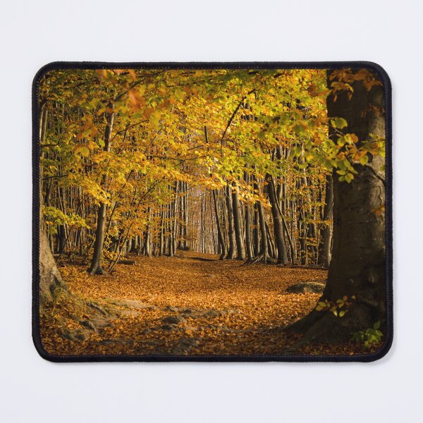 Item preview, Hiking trail in an autumn forest lined with colorful foliage designed and sold by Jens Breuer.