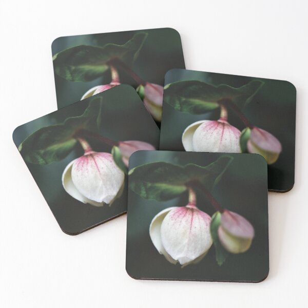Item preview, New Lives designed and sold by Nerone.