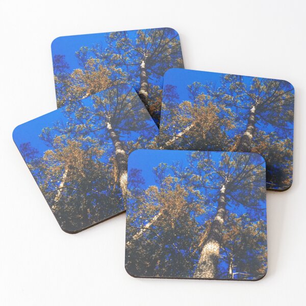 Item preview, Sacred Pine Trees designed and sold by TonyaZArtist.