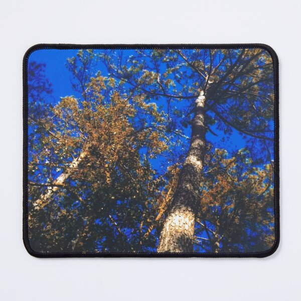 Item preview, Sacred Pine Trees designed and sold by TonyaZArtist.