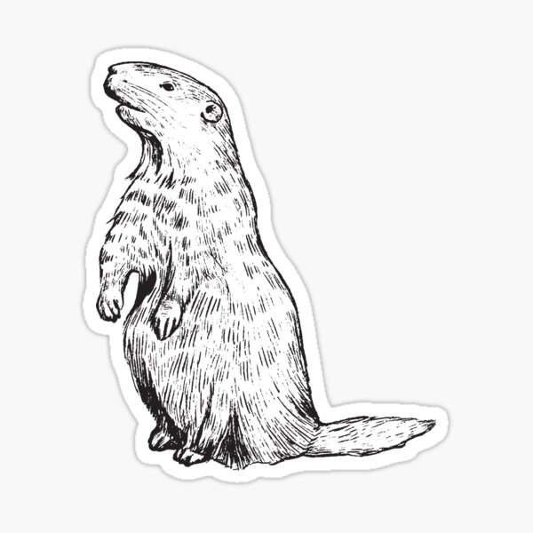 "#Groundhog - Happy Groundhog Day t-shirts" Sticker for Sale by