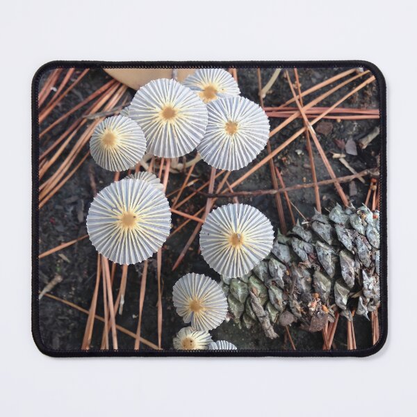 Item preview, Forest Treasures designed and sold by TonyaZArtist.