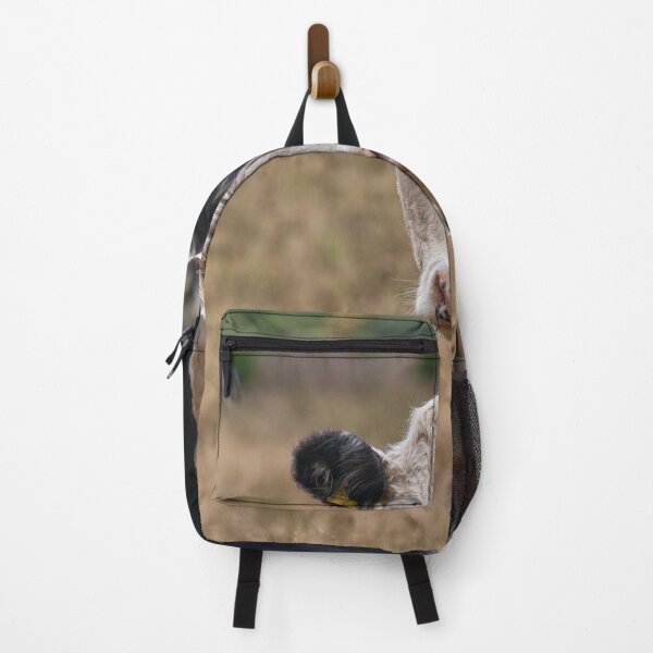 Item preview, Cows in the field designed and sold by Photopat.