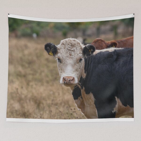 Item preview, Cows in the field designed and sold by Photopat.