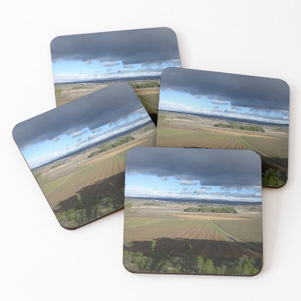 Item preview, Winter vines. designed and sold by Paul Pasco.