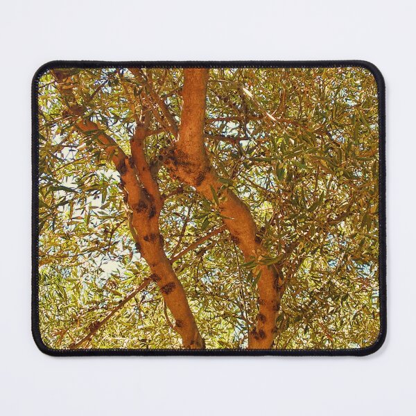 Item preview, Olive Tree 2 designed and sold by fr3spirit7.