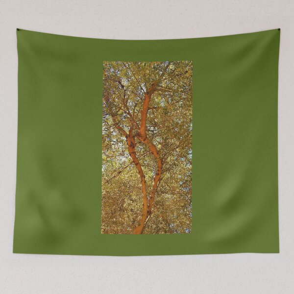 Item preview, Olive Tree 2 designed and sold by fr3spirit7.