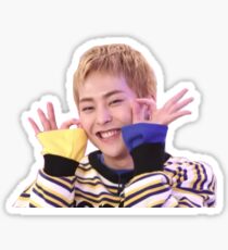 Netter Xiumin Sticker