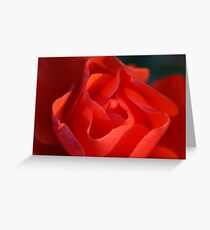 voluptuous Greeting Card