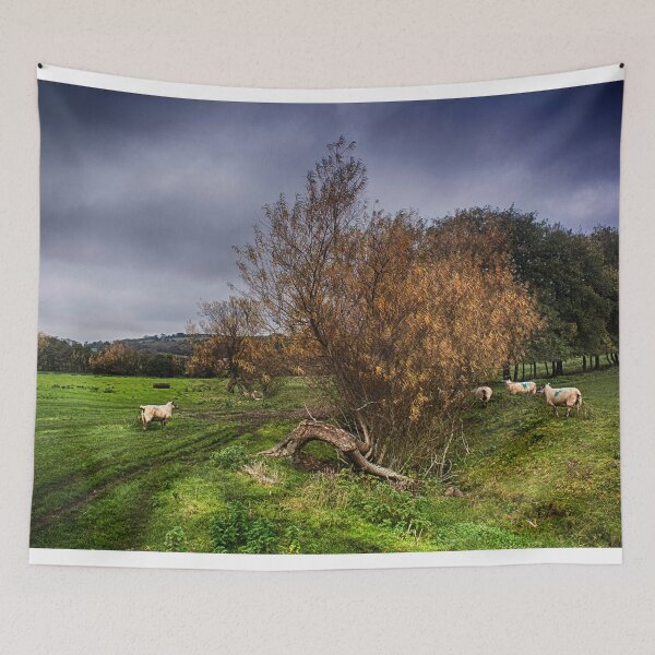 Item preview, Sheep At Postling designed and sold by Dave Godden.