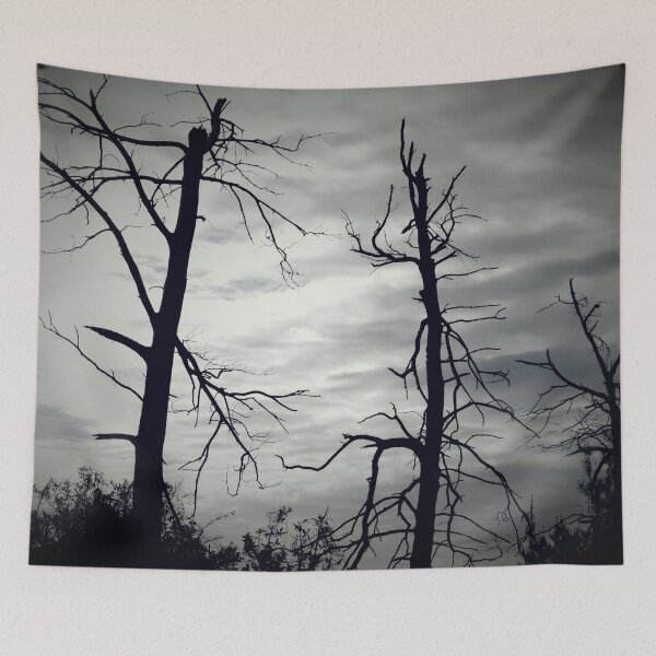 Item preview, Dramatic dead trees designed and sold by Jmb67.
