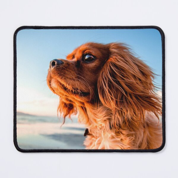 Item preview, little ginger dog designed and sold by Batartiste.