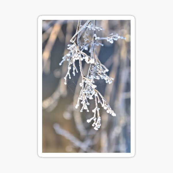 frosty twigs Sticker