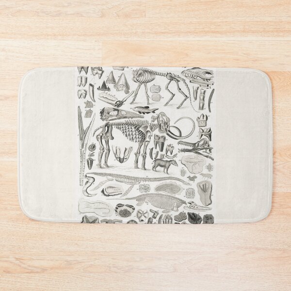 Item preview, Antique Fossil Illustration by Oliver Goldsmith designed and sold by ArchivedRecord.