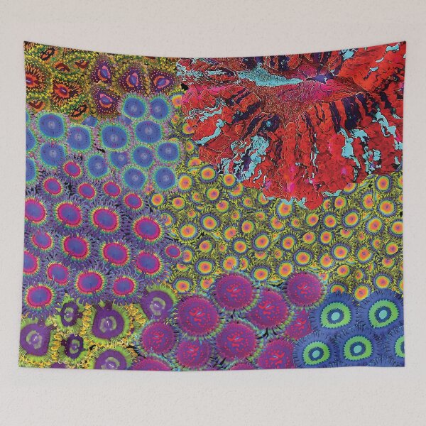Item preview, A Garden of Zoanthus and a Blue Acanthophyllia | Zoanthid Garden Art (Version 3) | Coral Lover Art designed and sold by ReefScene.