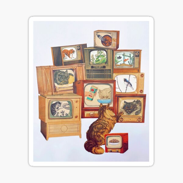 Cat Content Sticker