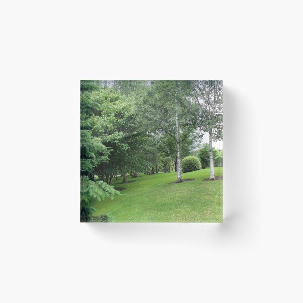 Item preview, Wychwood  relaxing ambiance designed and sold by Gaylene Norton.