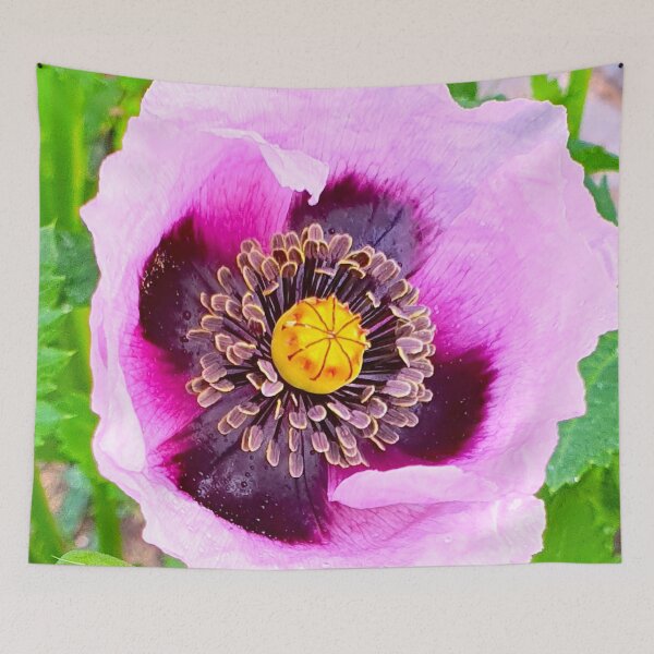 Item preview, rose poppy designed and sold by Tereza Pilar  Art.