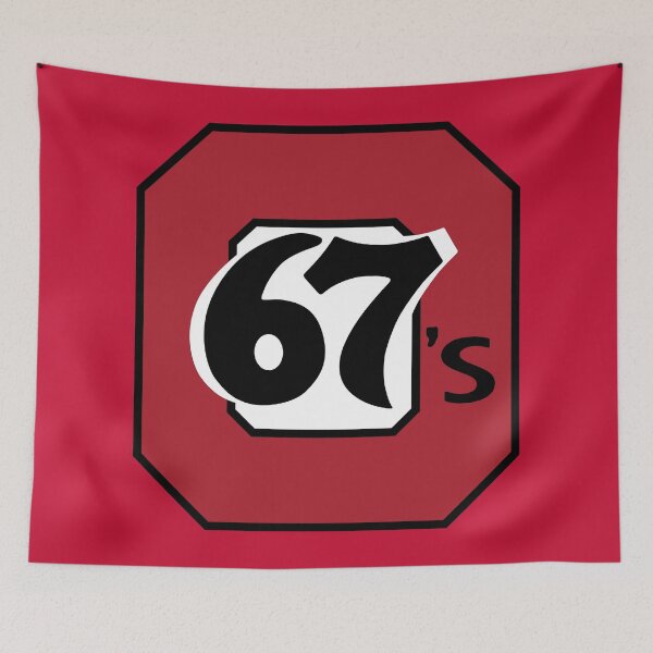 Item preview, Ottawa 67's designed and sold by Roasto.
