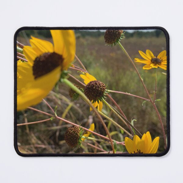 Item preview, flowers for hours . Based on Song of Solomon 2:12. designed and sold by Pearls1.