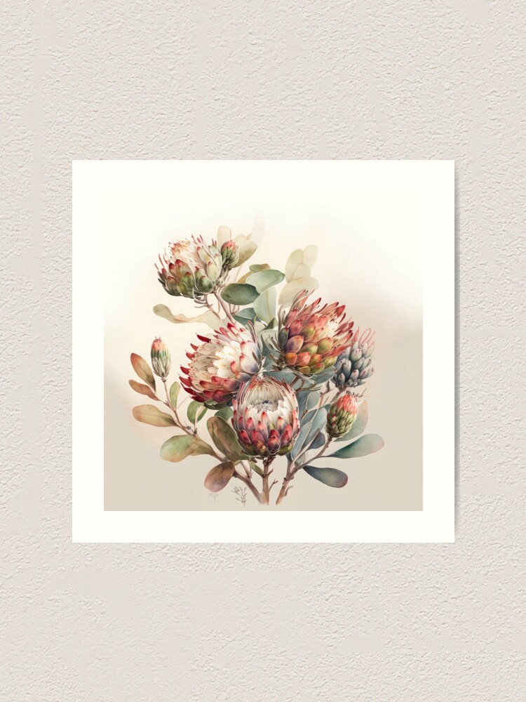 Protea Flower Vintage Painting One African Protea | Premium